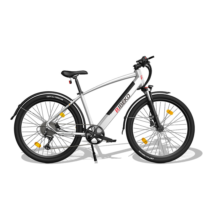RIBEKO® A-30 electric dirt bike for adults Ebike