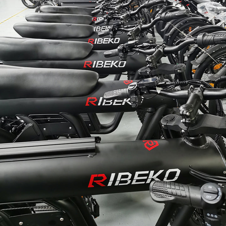 RIBEKO_Electric Bicycle_EB-M50_Data presentation-11