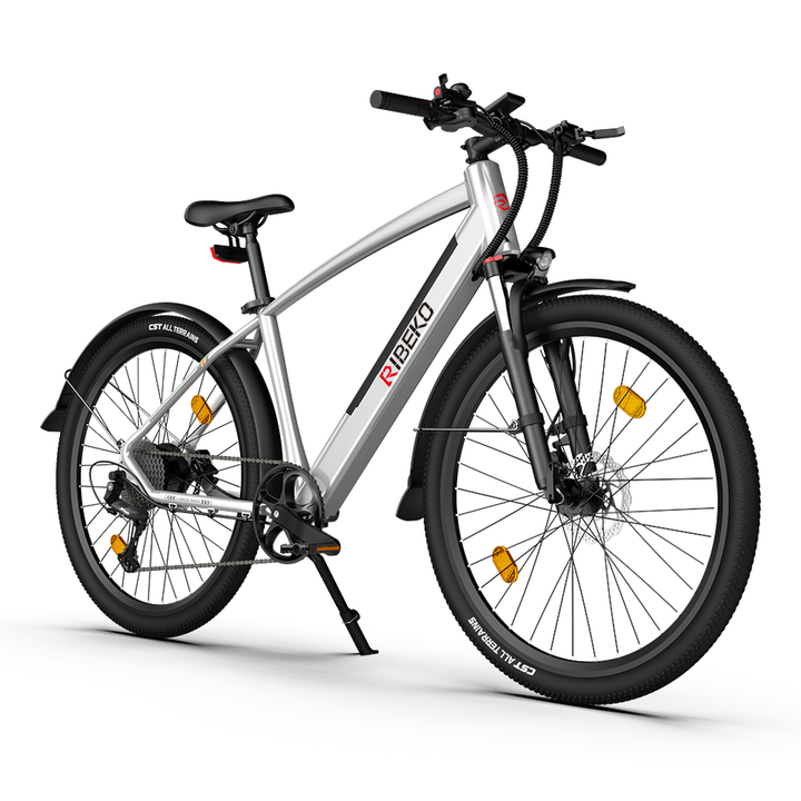 RIBEKO® A-30 electric dirt bike for adults Ebike